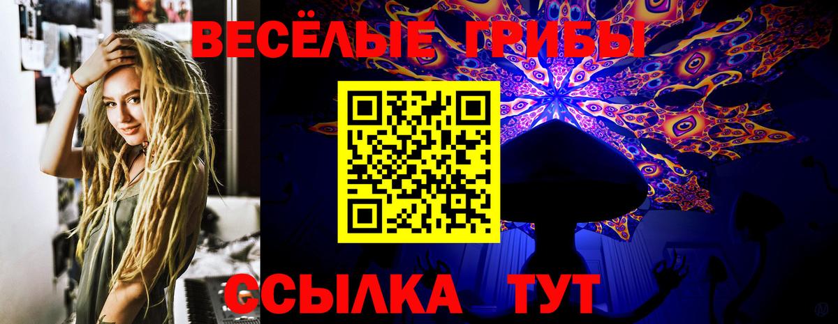 Псилоцибиновые грибы прущие грибы Новозыбков